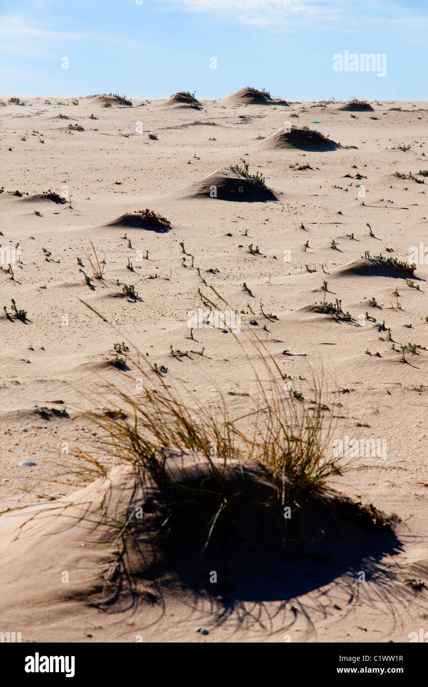 View of little natural formed hills by the wind on the beach Stock ...