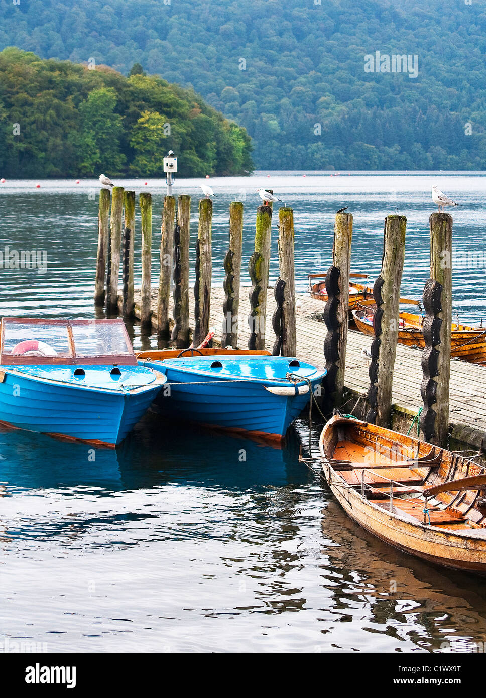 Seagull boat rentals Stock Photo - Alamy