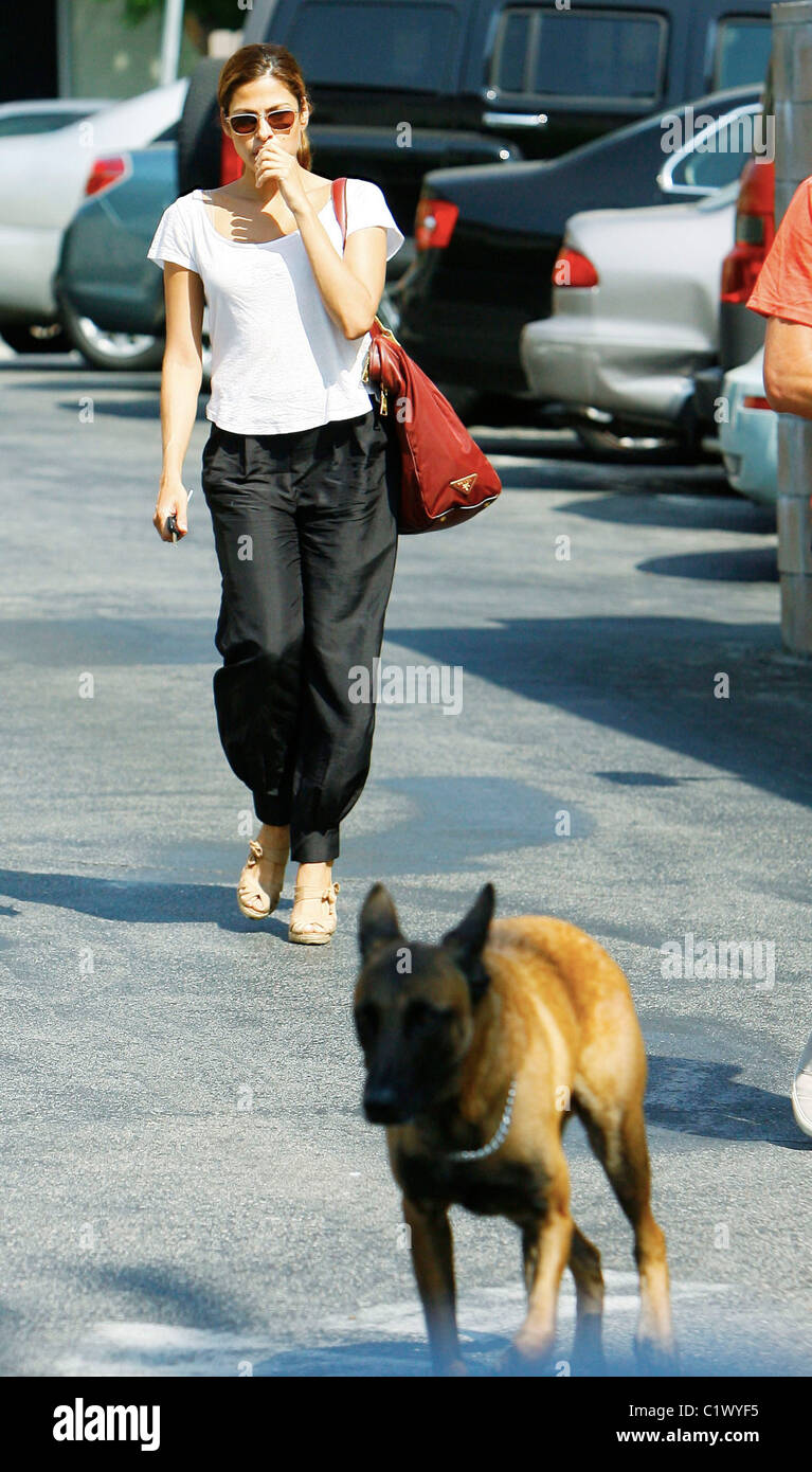 Actress Eva Mendes and her boyfriend George Gargurevich have lunch in West Hollywood with their pet dog. Los Angeles, Stock Photo