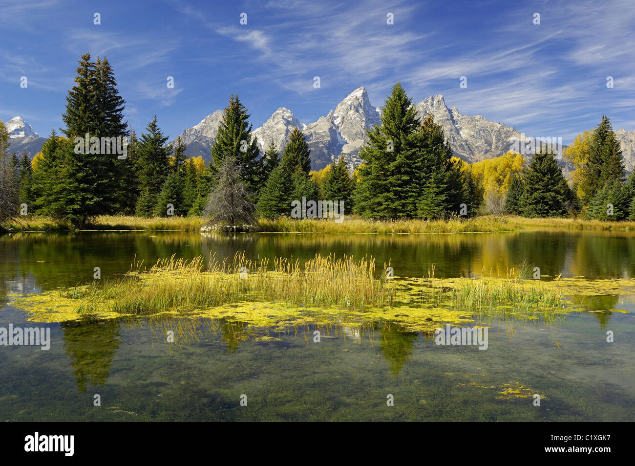 Beautiful Morning in Grand Teton National Park Stock Photo Alamy