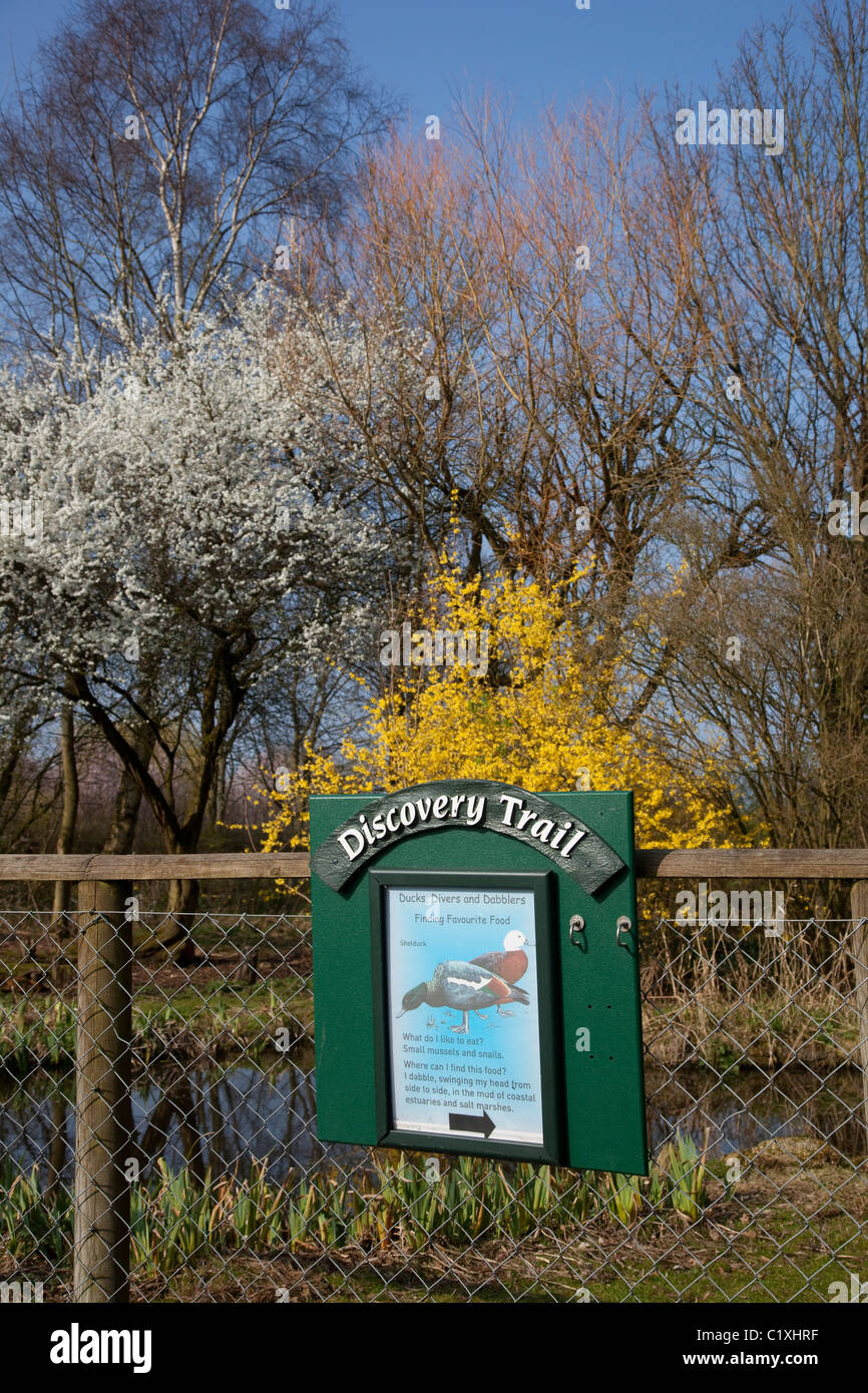 Discovery Trail at Martin Mere Wetland Centre, Burscough, Lancashire, England, UK Stock Photo