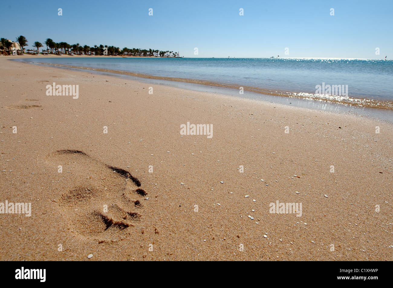 Footprint on the sand on the beach Stock Photo