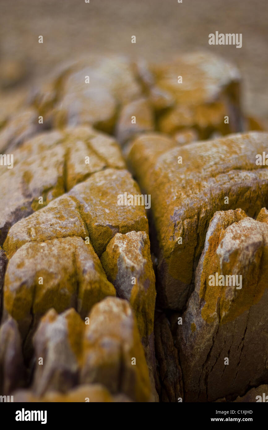 Lichen covered rocks Stock Photo