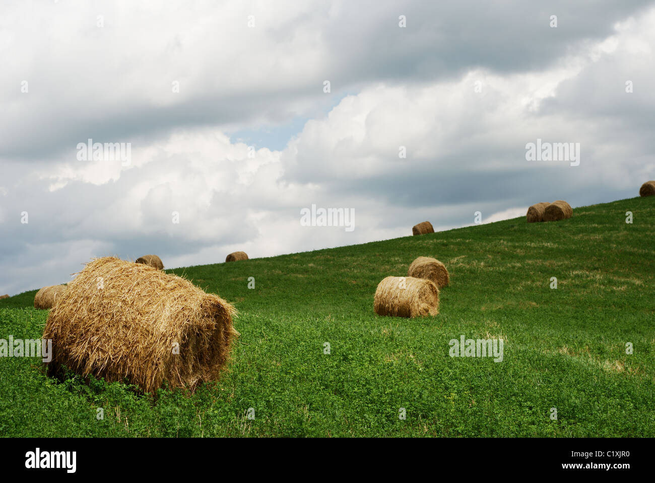 Hay bales in a green field under grey stormy sky Stock Photo - Alamy