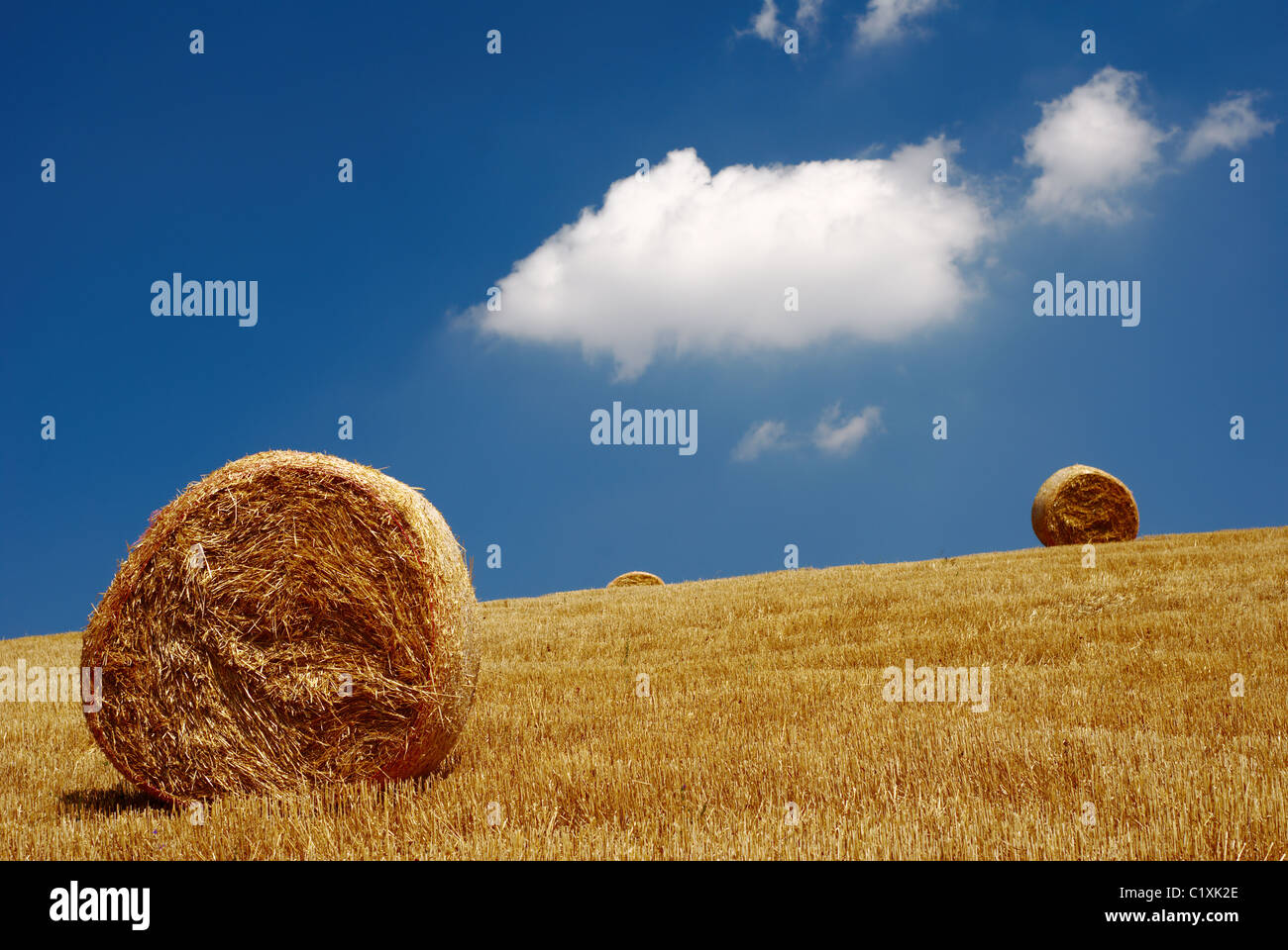 Straw bales in field with beautiful sky Stock Photo
