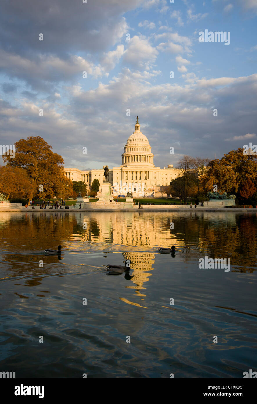 Capitol Building, Washington, DC Stock Photo