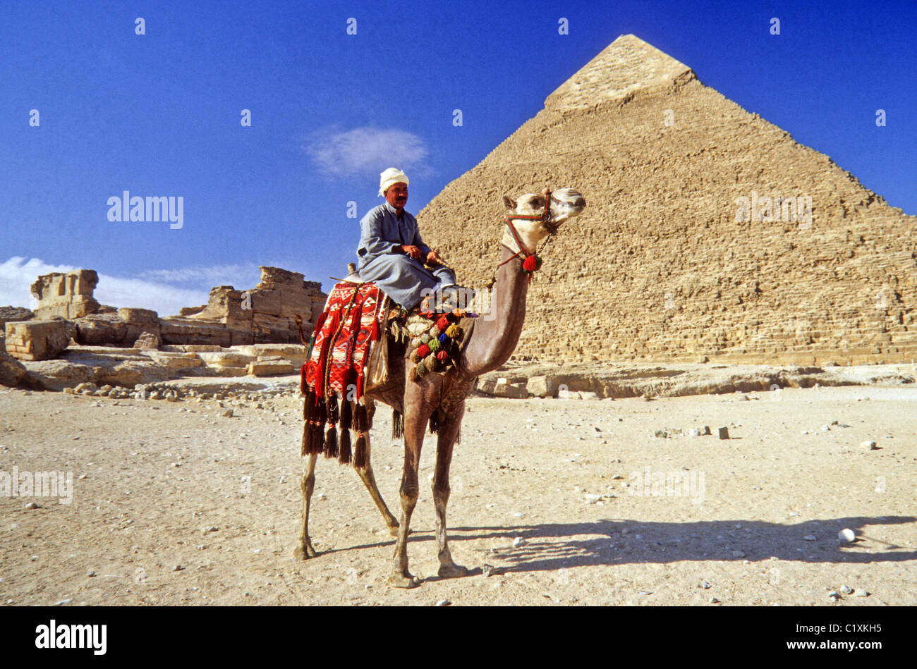 Camel and rider at Great Pyramid of Cheops, Giza, Cairo, Egypt Stock ...