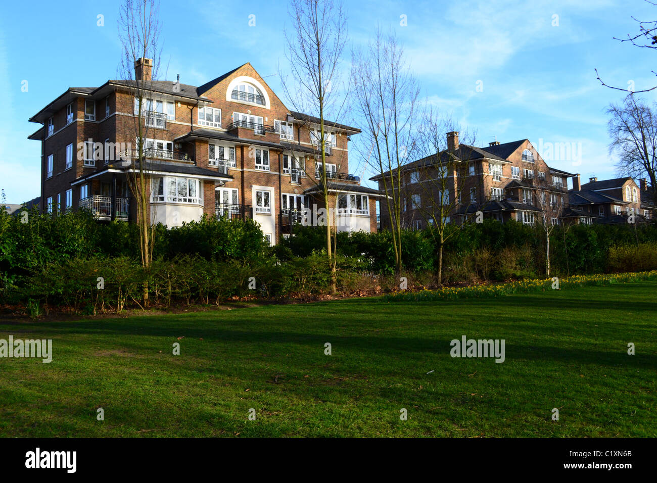 Houses looking on Canbury Park, Kingston, Surrey Stock Photo Alamy