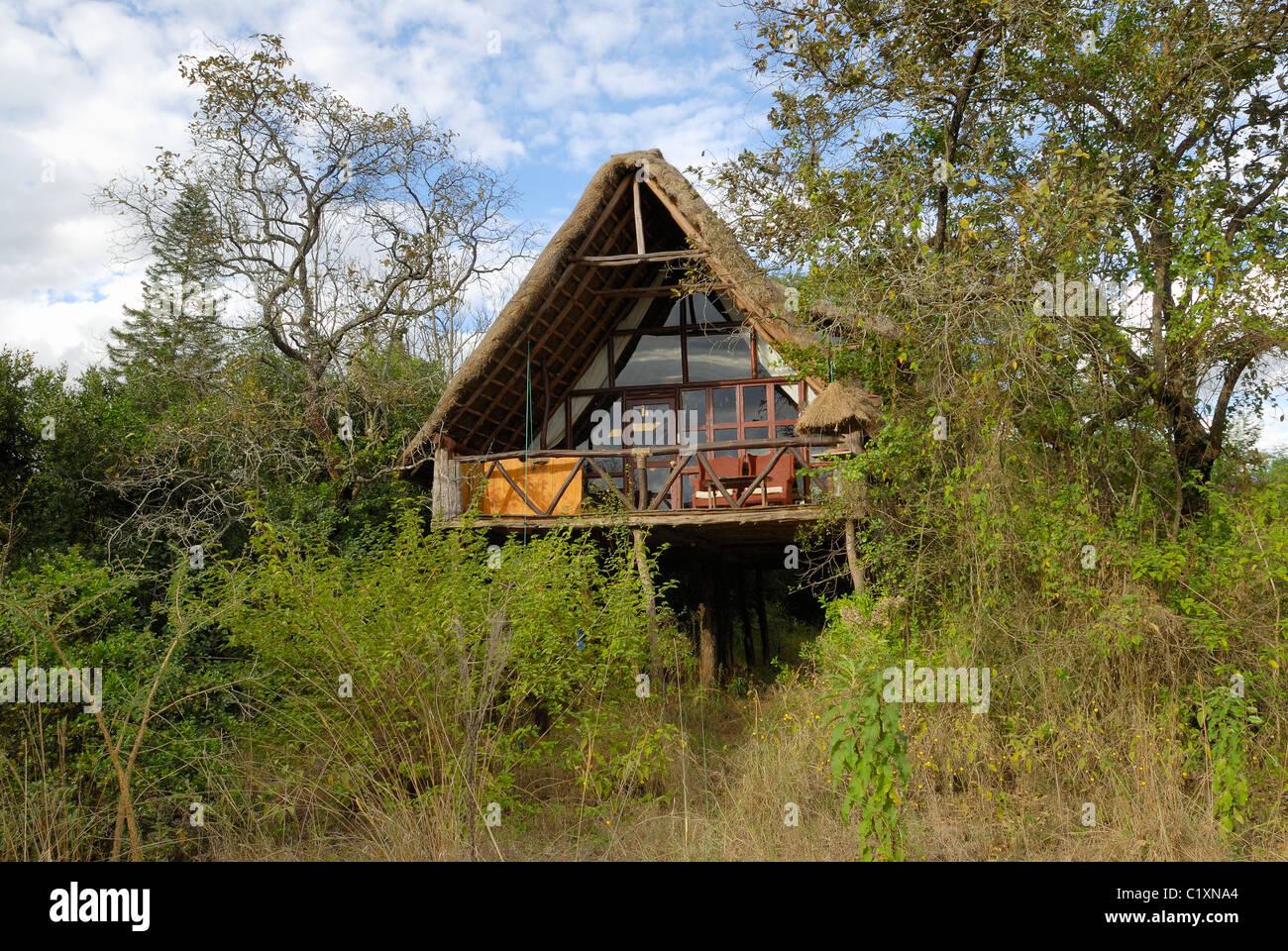tree house in Ngong House Safari Hotel, Nairobi, Kenya, Africa Stock