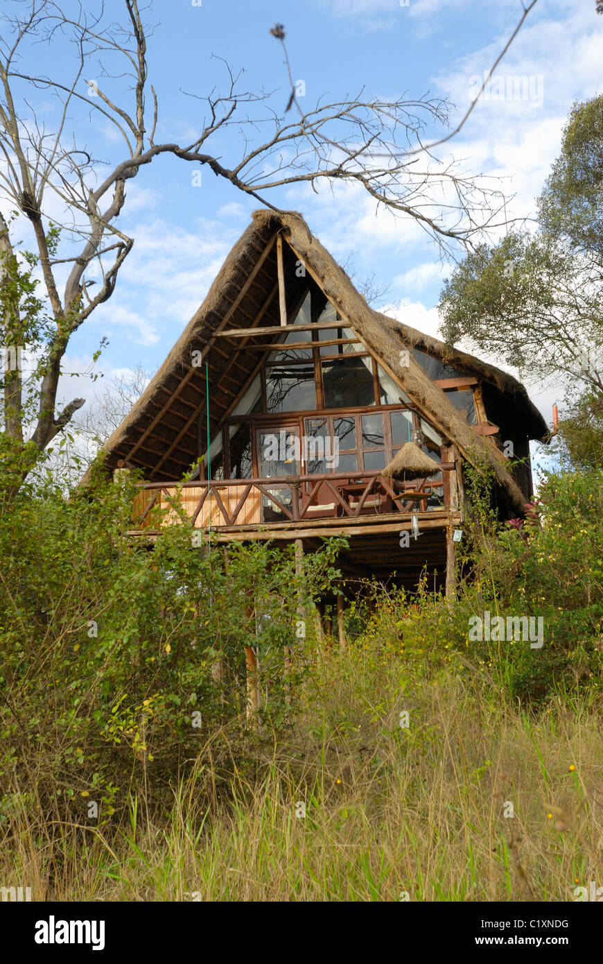 tree house in Ngong House Safari Hotel, Nairobi, Kenya, Africa Stock Photo Alamy