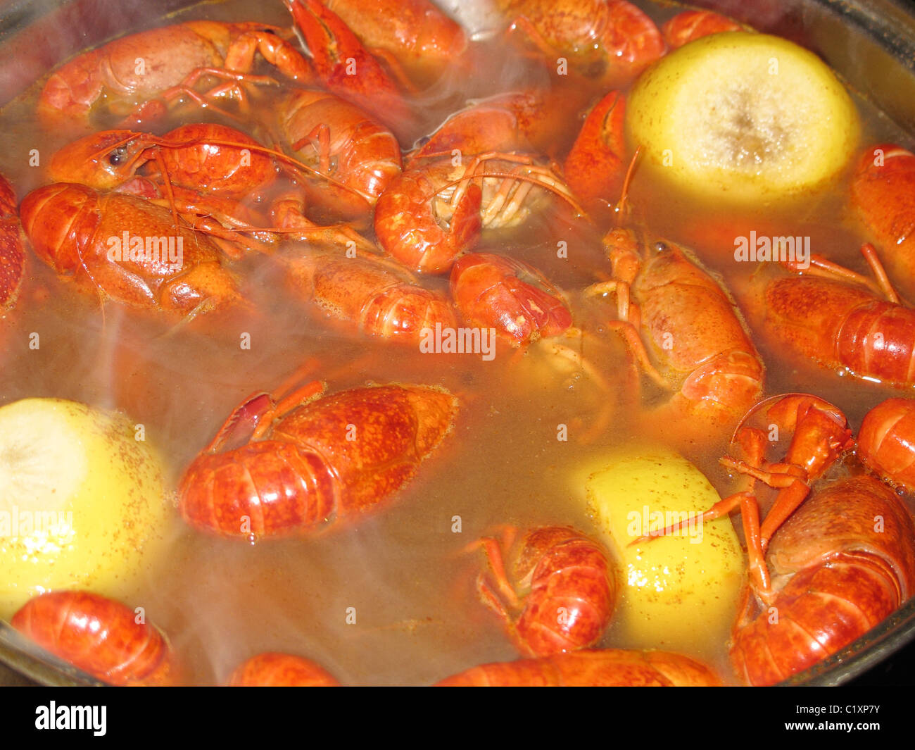 Crawfish boil, crawfish cooking and steaming in a pot with lemon Stock Photo