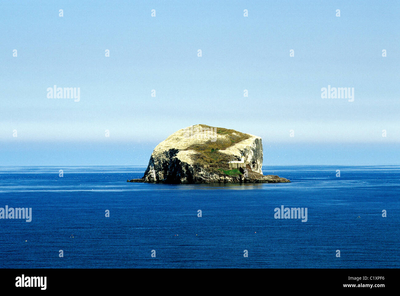 Bass Rock, Scotland Scottish island islands Borders Region UK coast coastal scenery North Sea Stock Photo