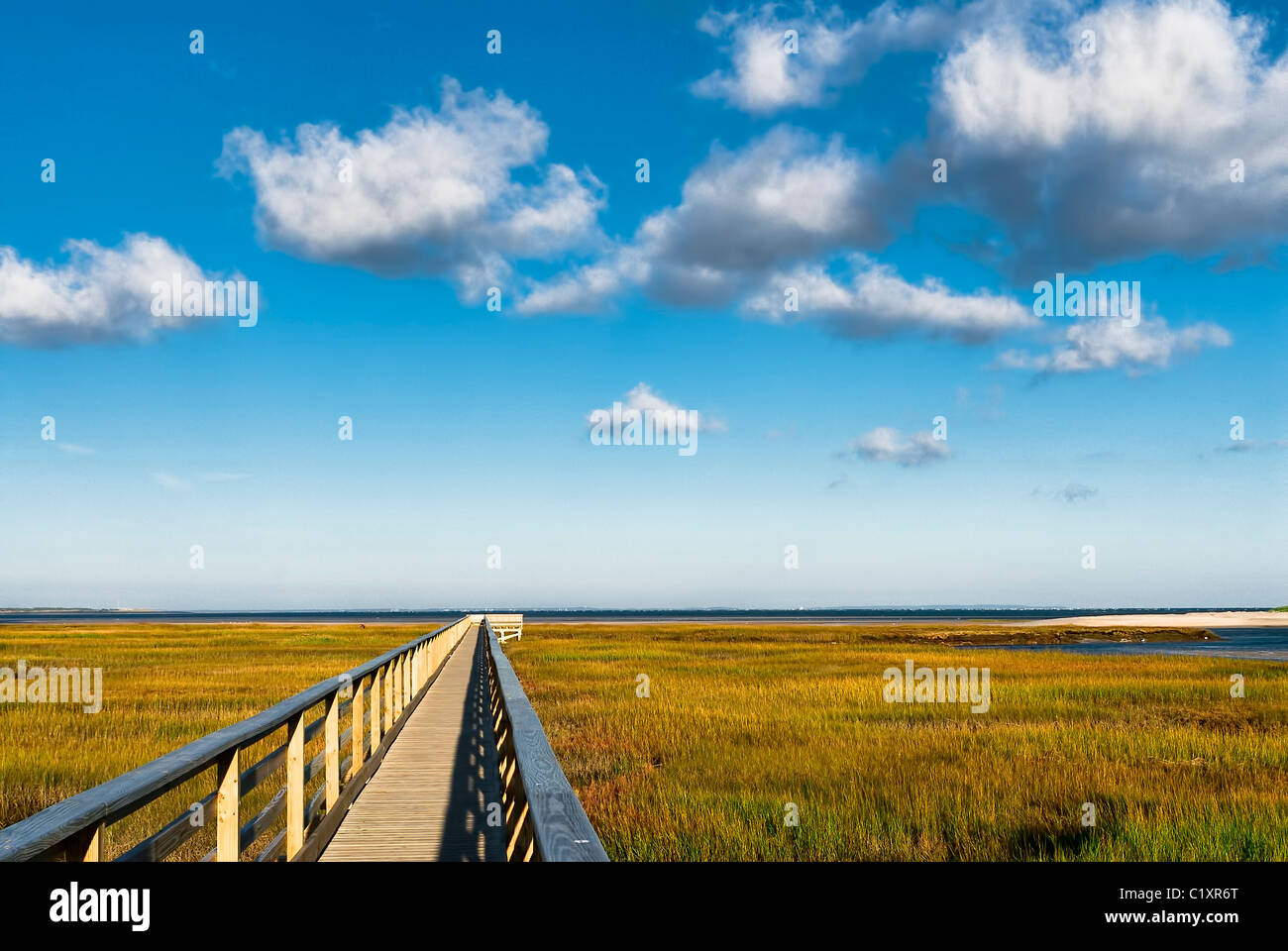 Wetlands observatory deck, Grays Beach, Yarmouth, Cape Cod, MA Stock Photo Alamy