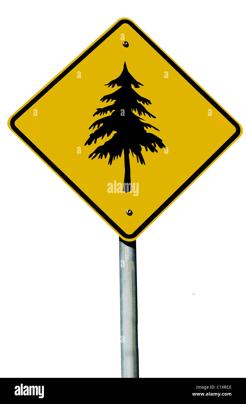 A tree sign isolated on a plain white background. Stock Photo