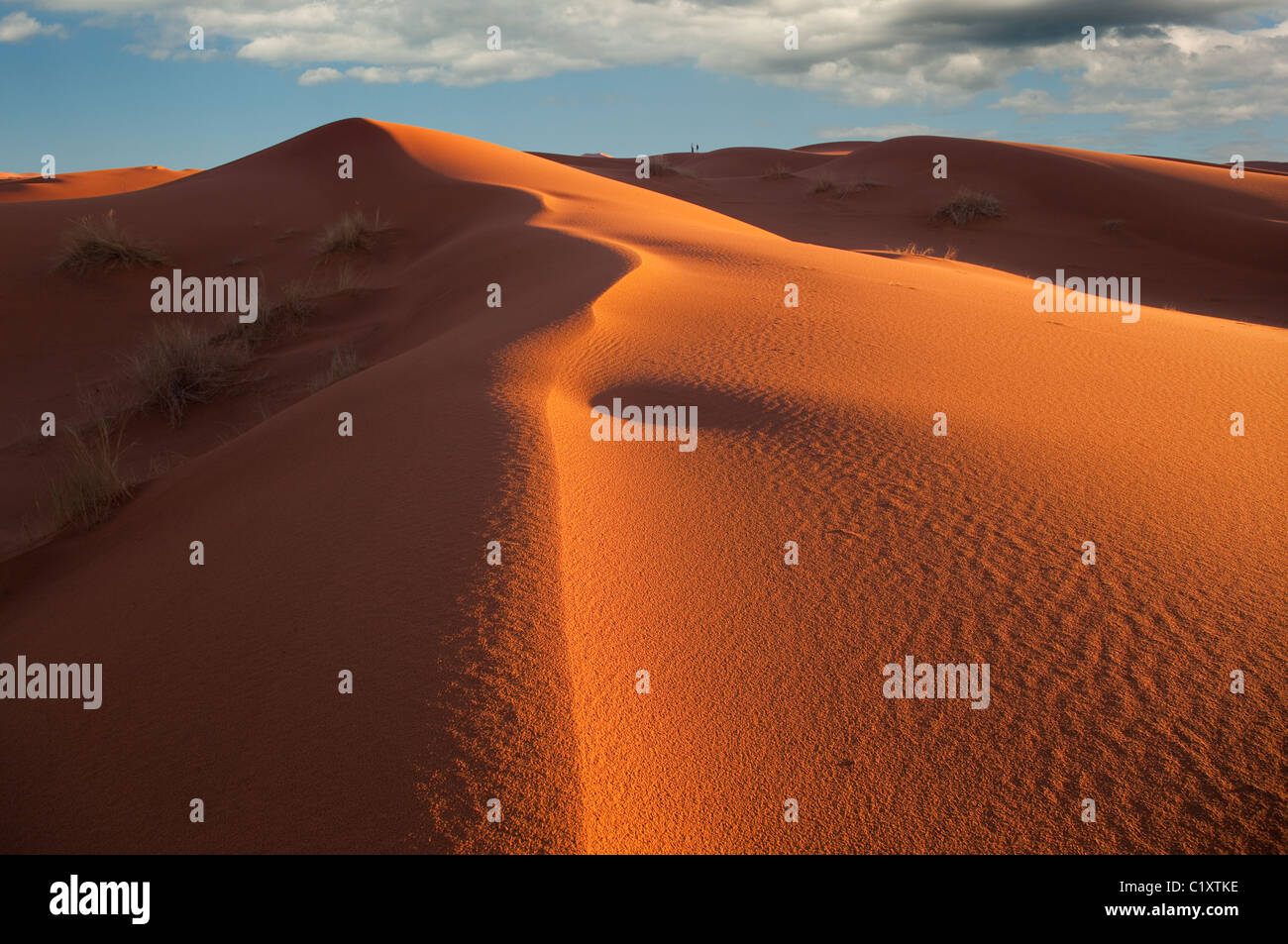 Erg Chebbi Sand dunes on the edge of the Sahara desert in Morocco North ...
