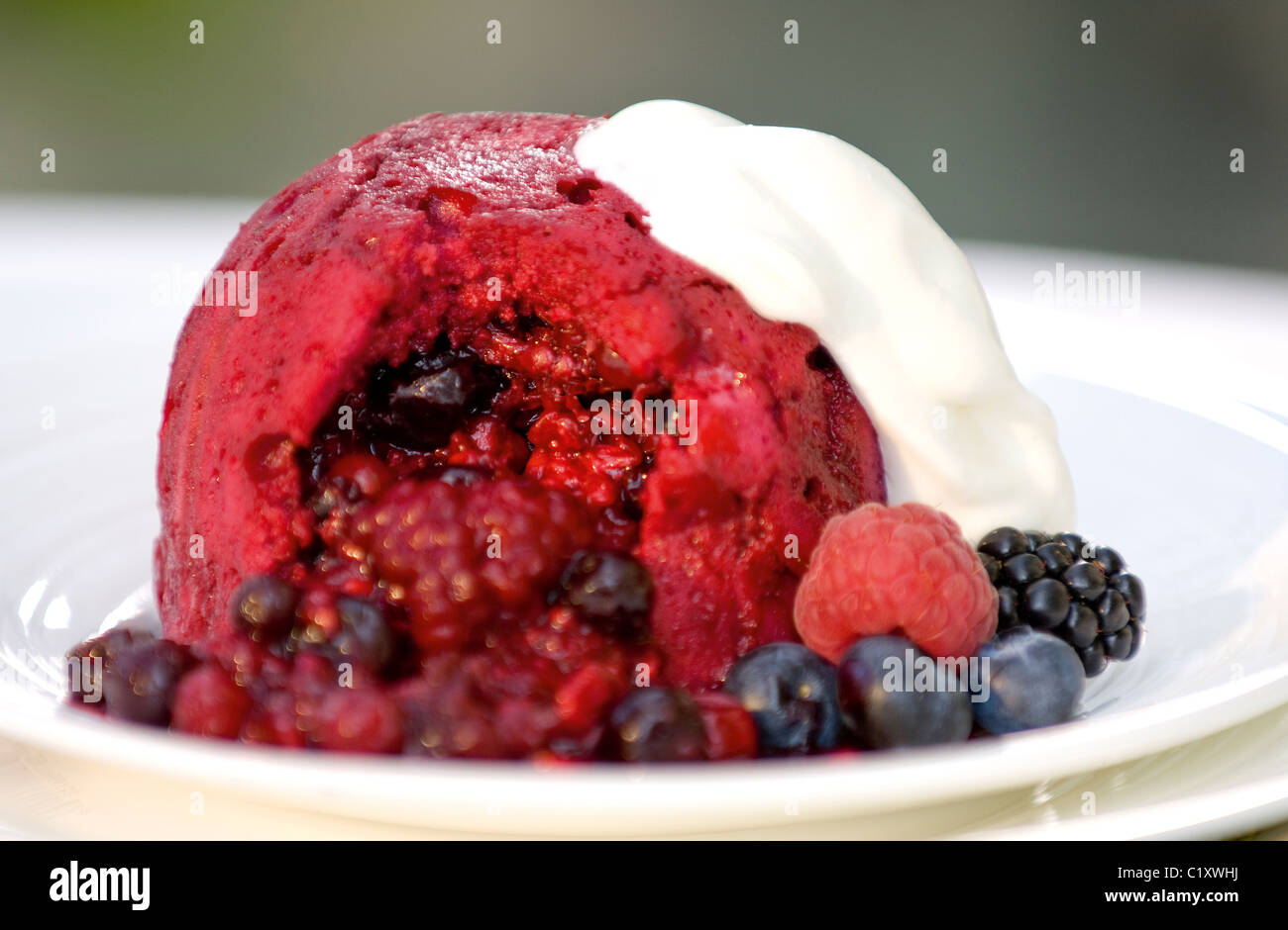 Summer fruit pudding. Stock Photo
