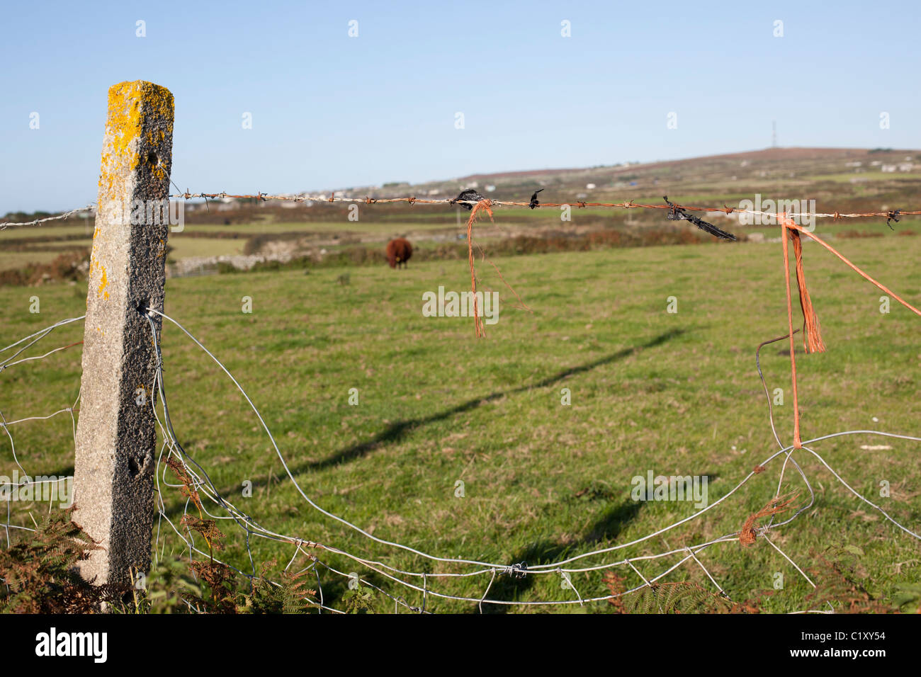 Barbed wire string barrier edge hires stock photography and images Alamy