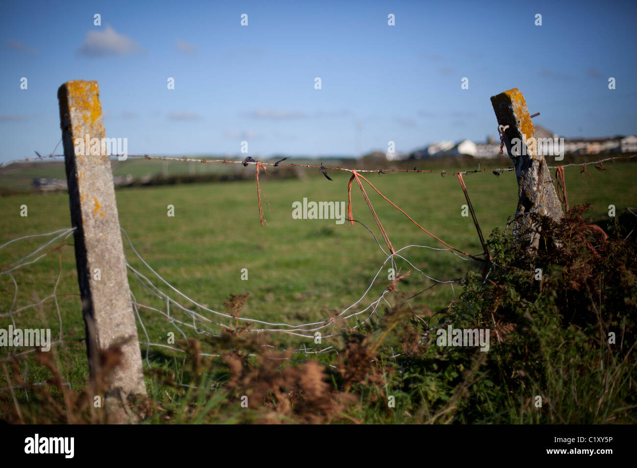 Barbed wire and string barrier at edge of field Stock Photo