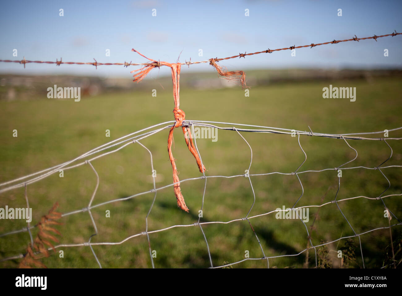 Barbed wire string barrier edge hires stock photography and images Alamy