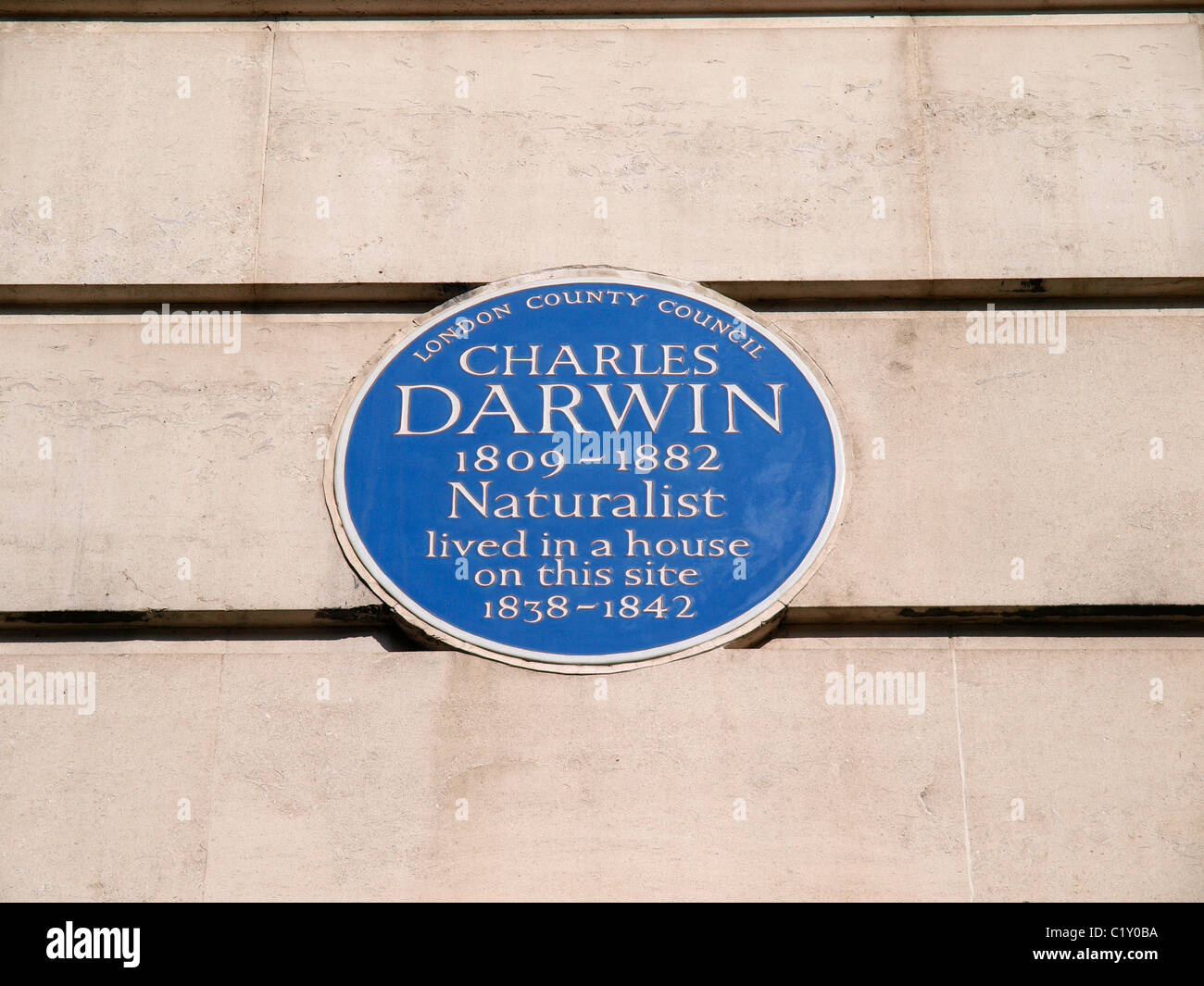 Blue Plaque to Charles Darwin who lived in Gower Street now Part of University College London. Stock Photo