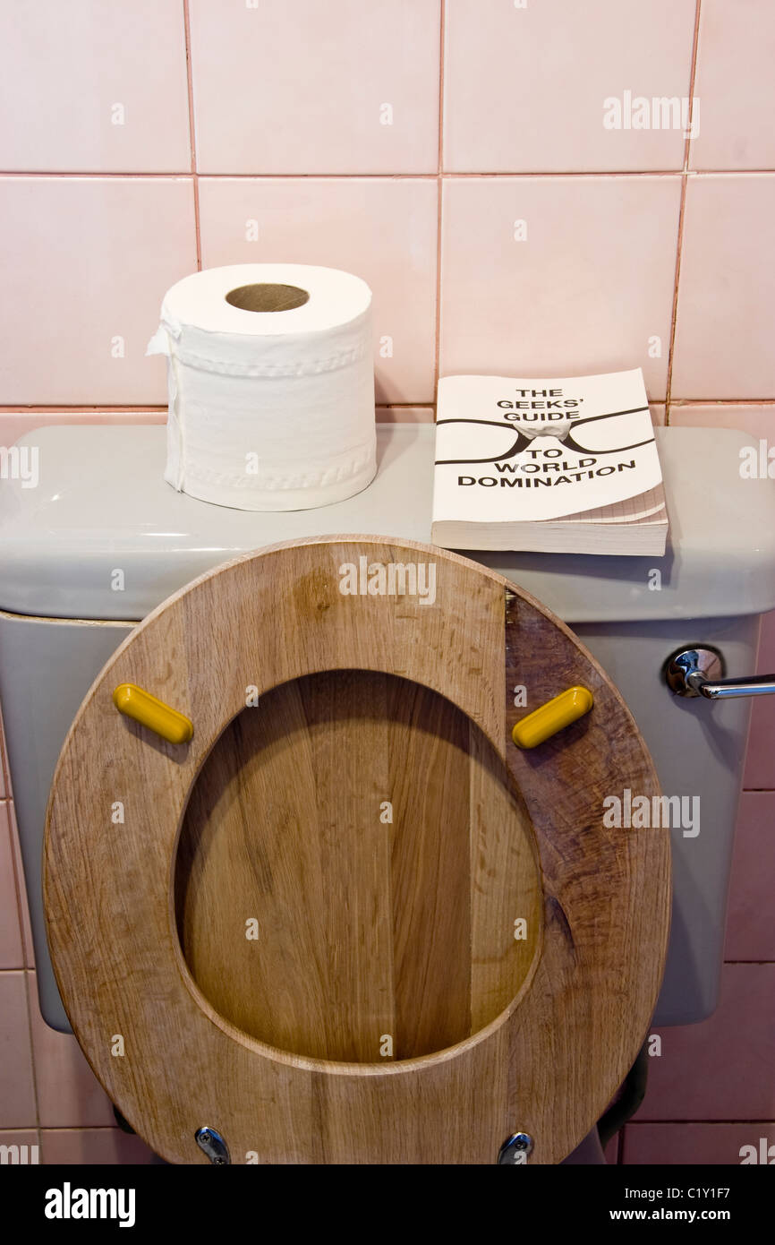 Lavatory with seat up Stock Photo Alamy