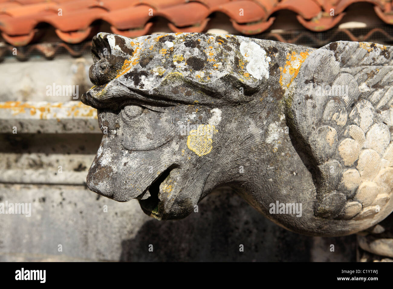 A gargoyle is covered in mossy growths Stock Photo Alamy A gargoyle is covered in mossy growths Stock Photo Alamy