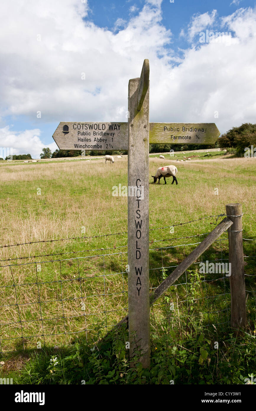signpost for the cotswold way.copy space.upright image Stock Photo