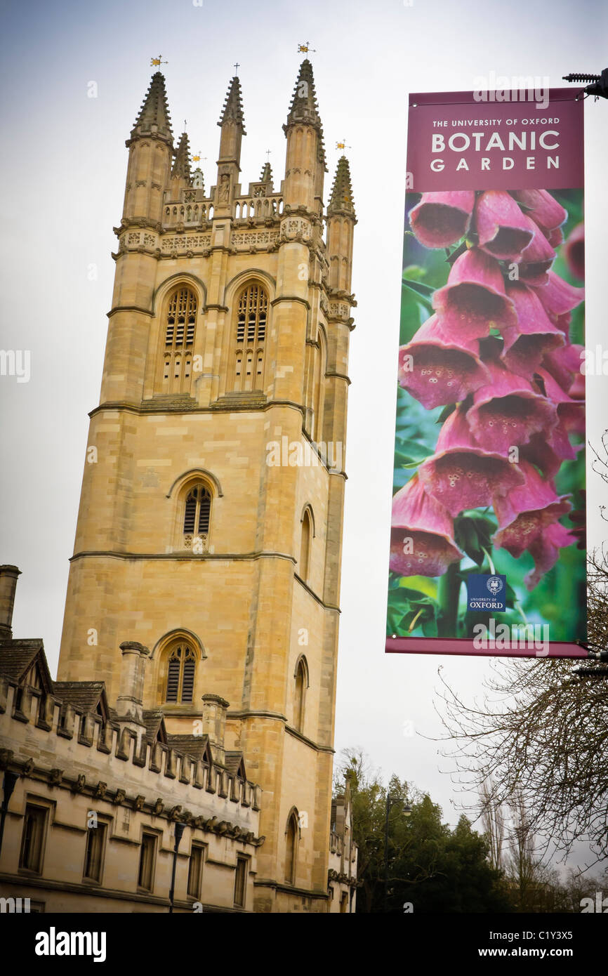 Magdalen College Great Tower and banner for Botanic Gardens, Oxford, UK Stock Photo