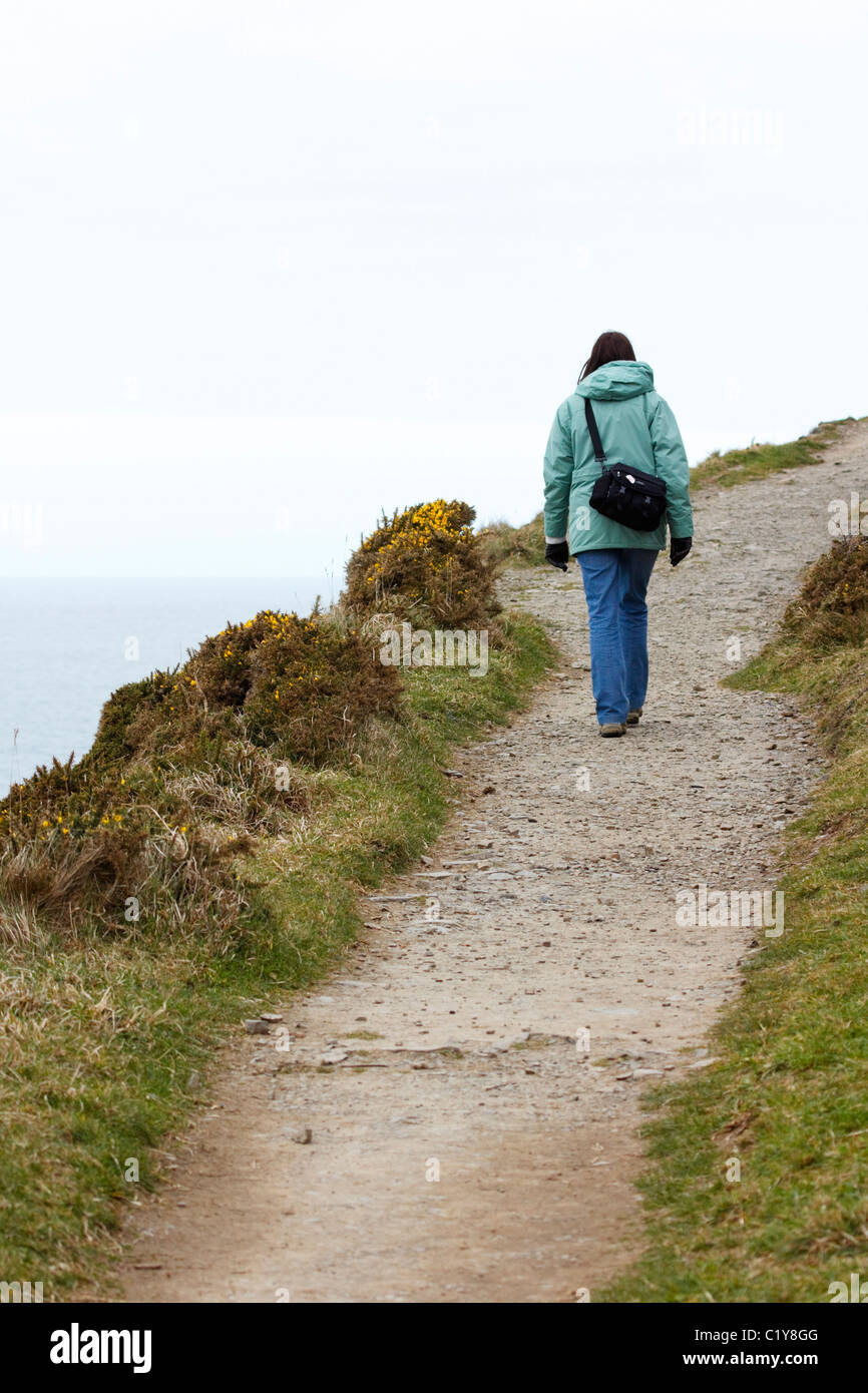 Female walker on the South West Coast Path, south of Hartland Quay, Devon. Stock Photo