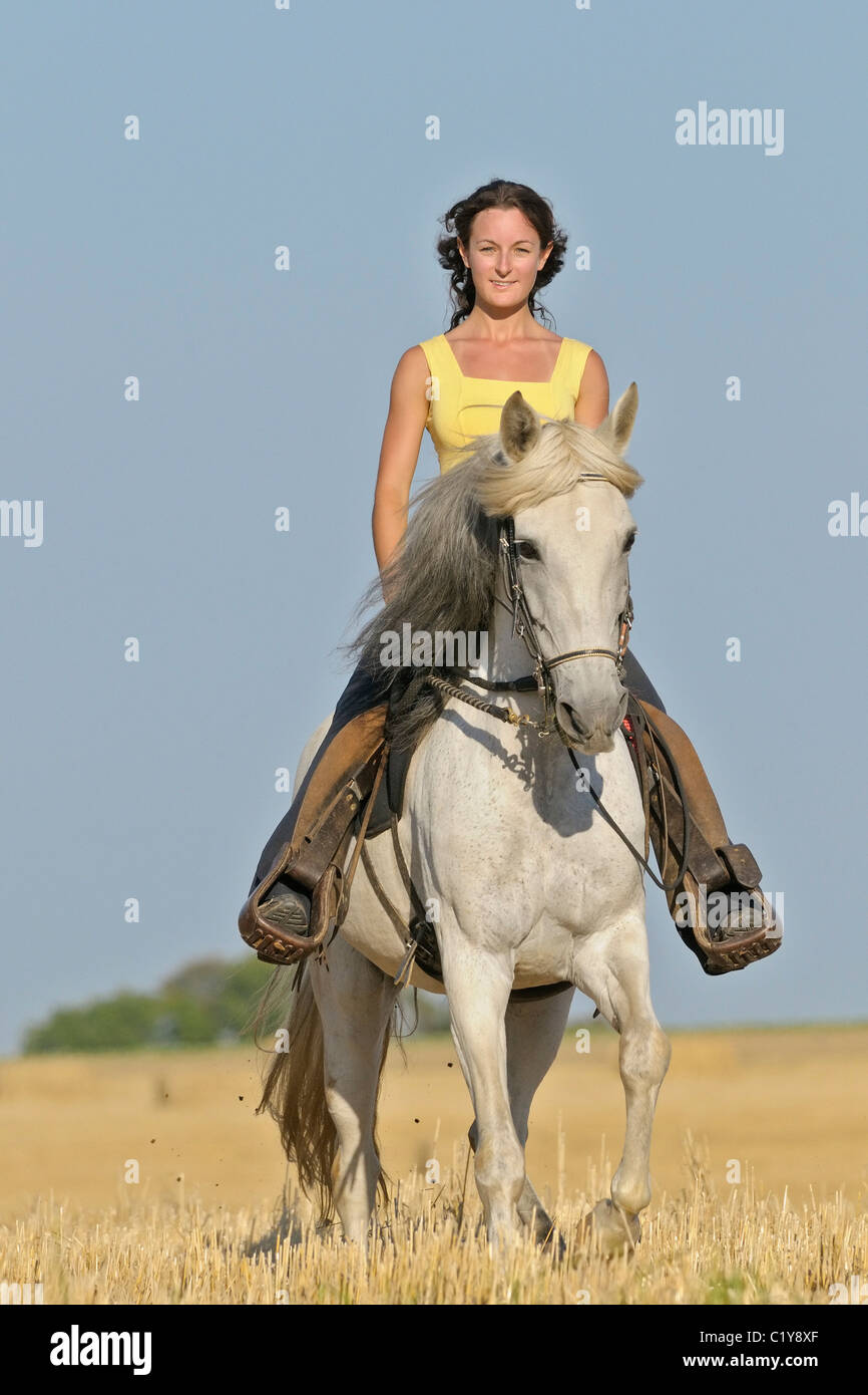 woman riding Paso Fino horse Stock Photo Alamy