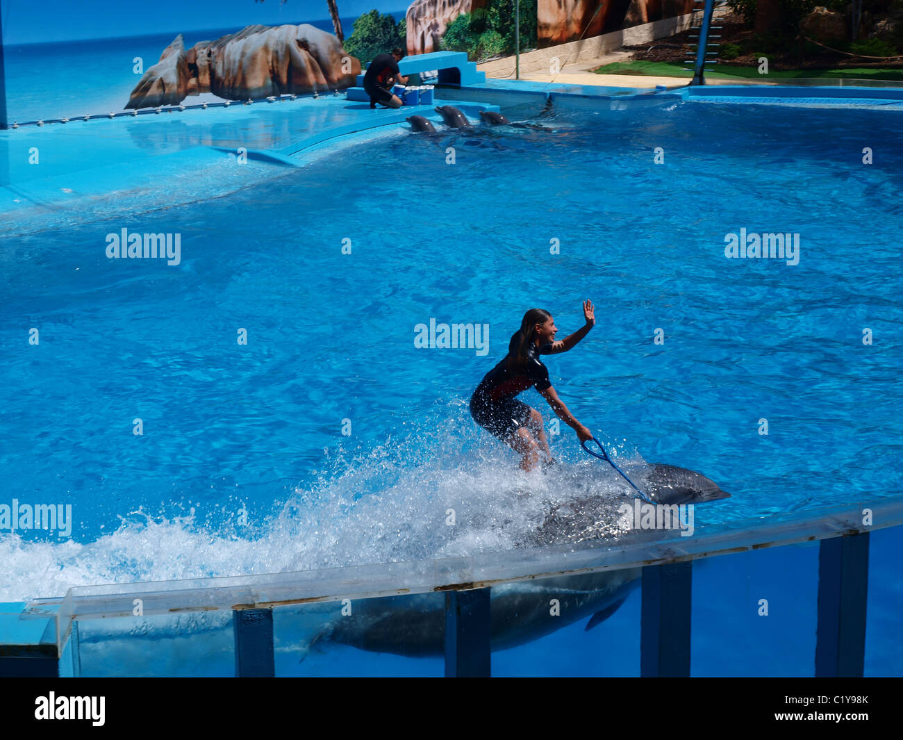 Woman and animals hi-res stock photography and images - Alamy