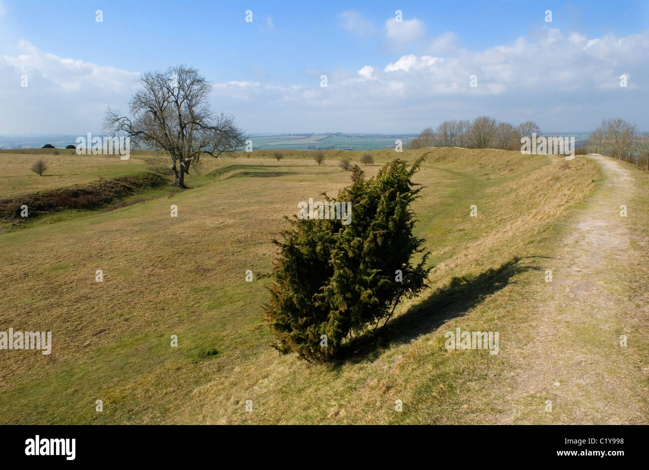 Figsbury Ring, Firsdown, Wiltshire UK. An Iron Age Hill Fort or a Neolithic Henge monument. Stock Photo