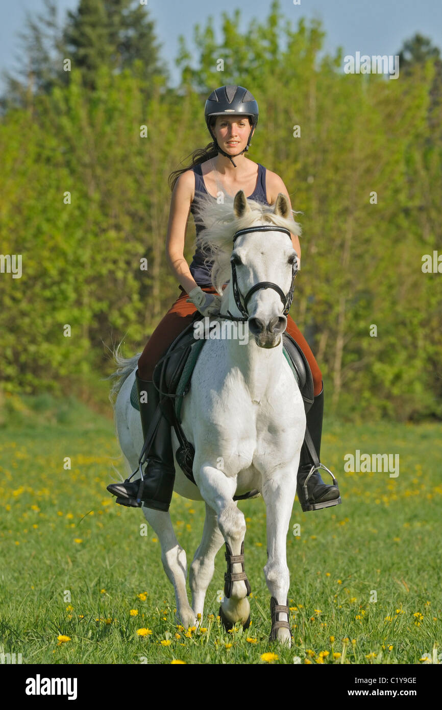 young woman riding German Riding Pony horse Stock Photo Alamy