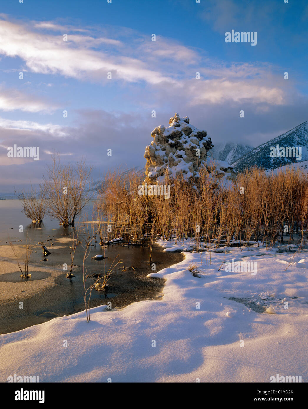 In alkaline lakes hires stock photography and images Alamy