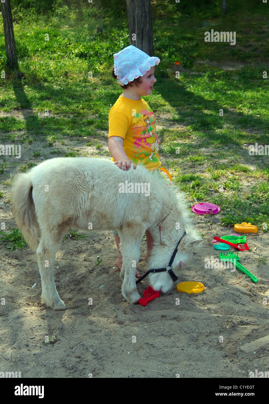 White pony foal, Odessa, Ukraine, Eastern Europe Stock Photo
