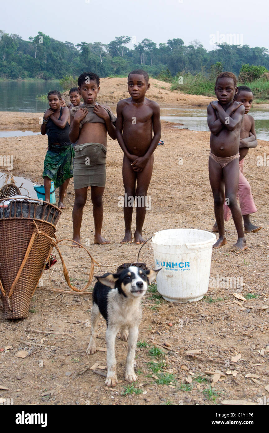 Pygmies ,Betou ,Ubangi River, Republic of Congo Stock Photo