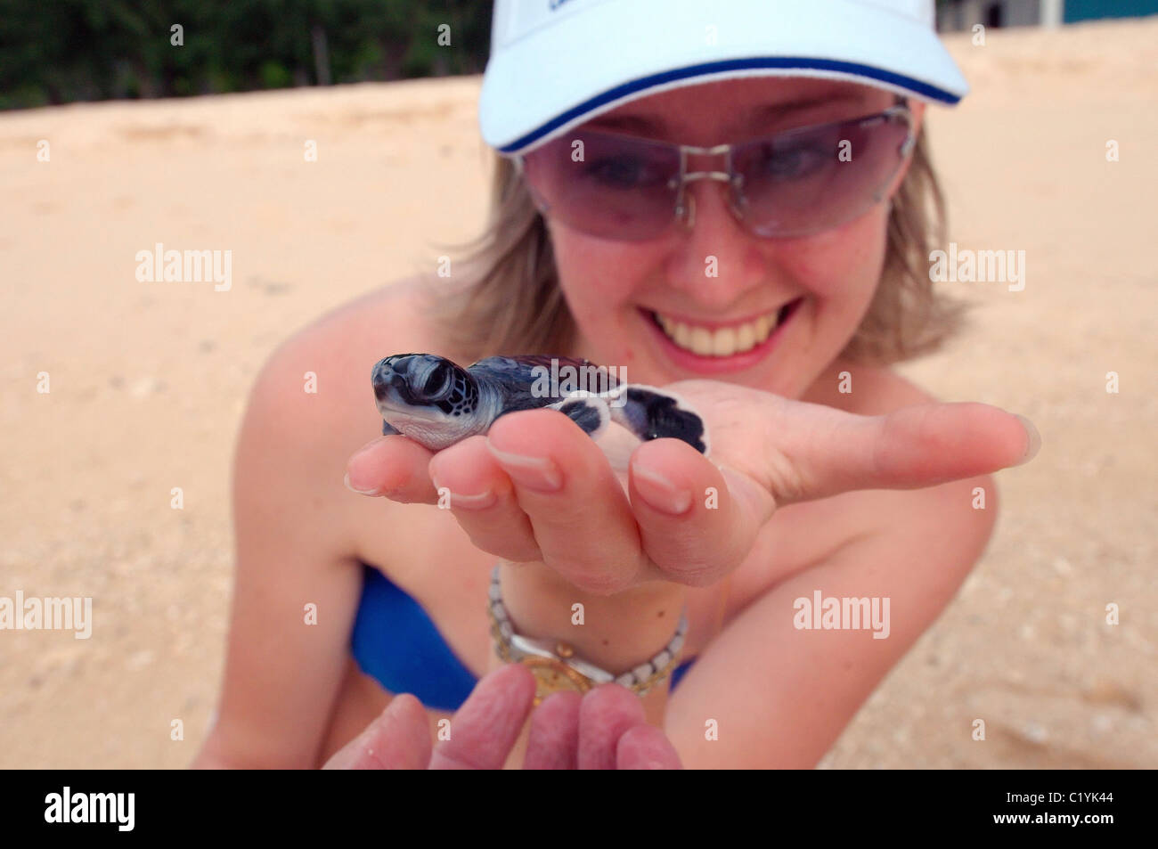 The woman holds on a palm baby the big green turtle (Chelonia mydas) Stock Photo