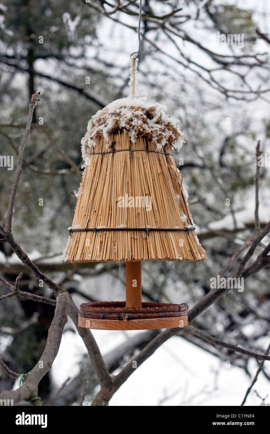 Simple bird house on the tree in winter time. Stock Photo
