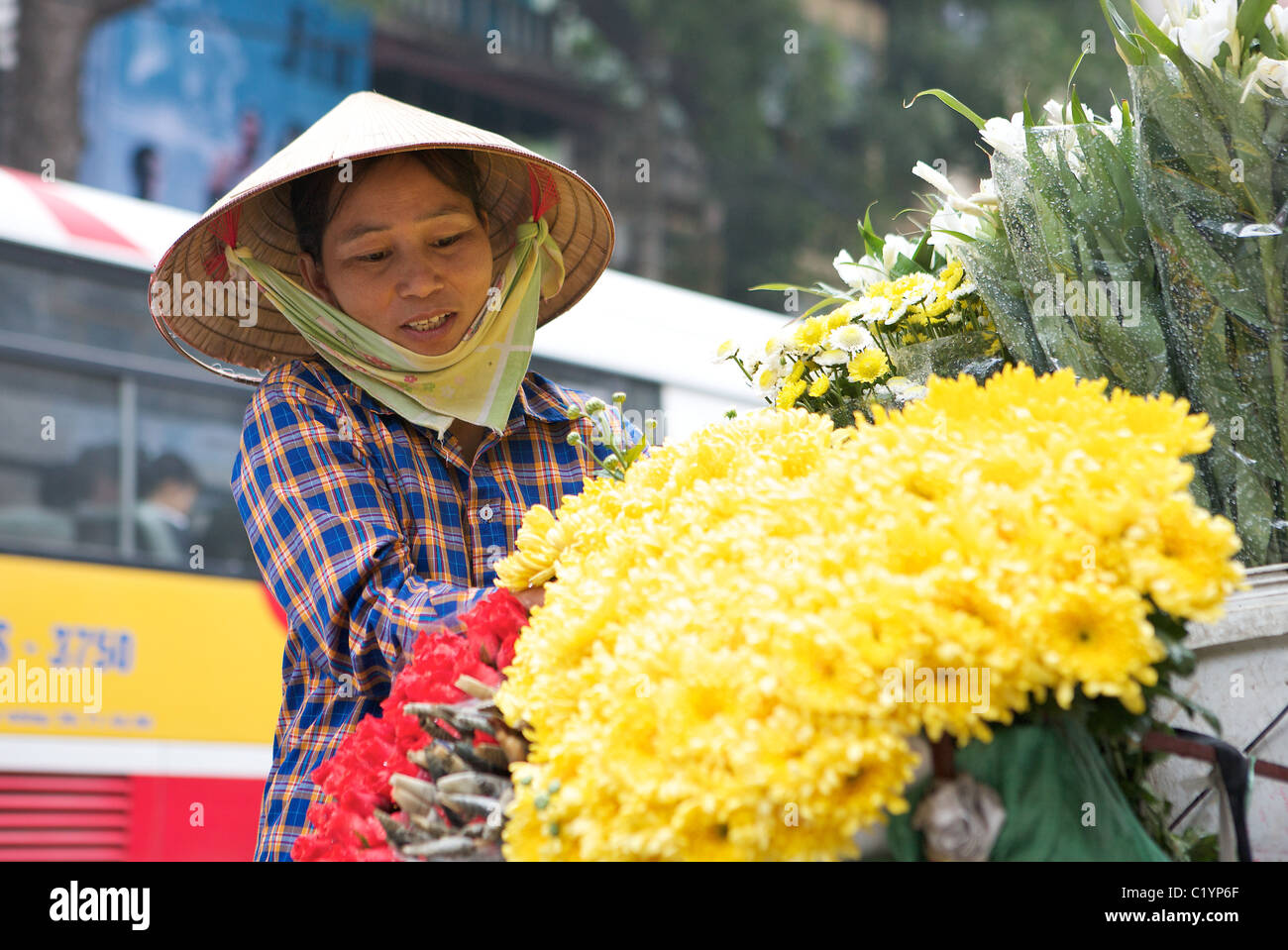 Rebecca Berry Flowers Of Vietnam Hours The Beautiful Flowers Of