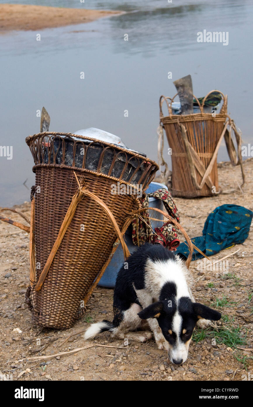 Pygmies ,Betou,Ubangi River,Republic of Congo Stock Photo