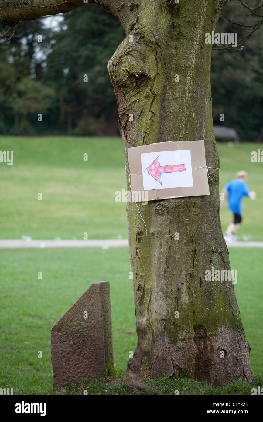 An arrow on a tree showing the direction that runners should follow during a running event England UK Stock Photo