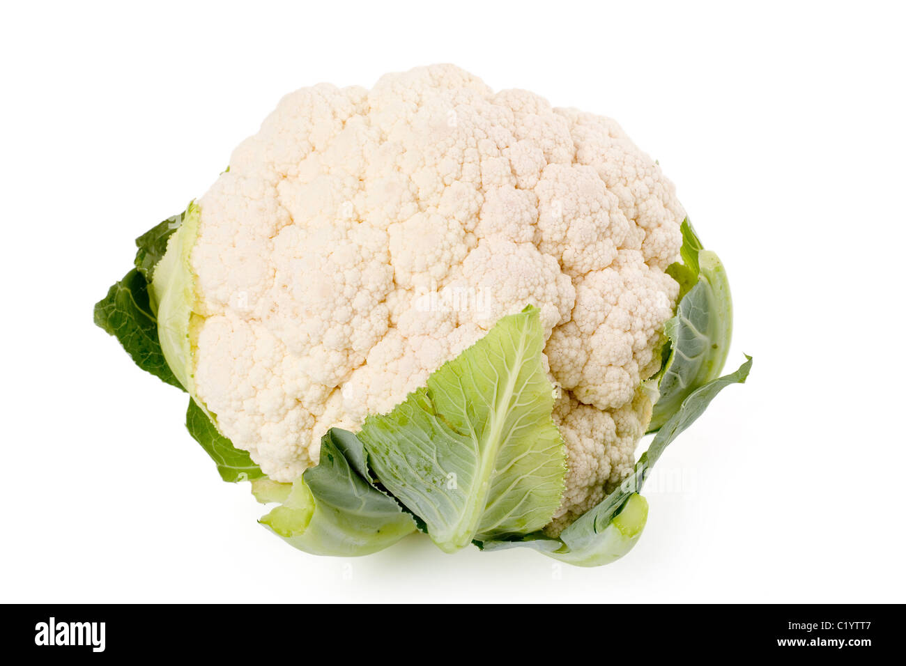 a cauliflower with white background Stock Photo