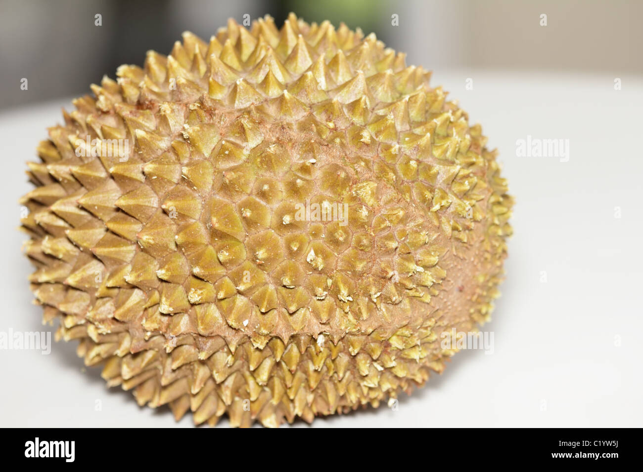 Spiky Durian on White Table Stock Photo