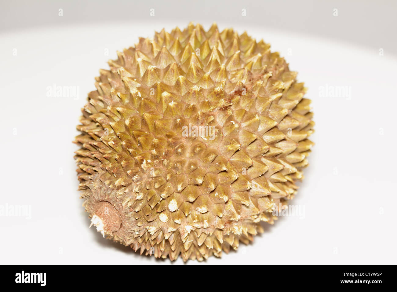 Spiky Shell  of Durian Fruit Stock Photo