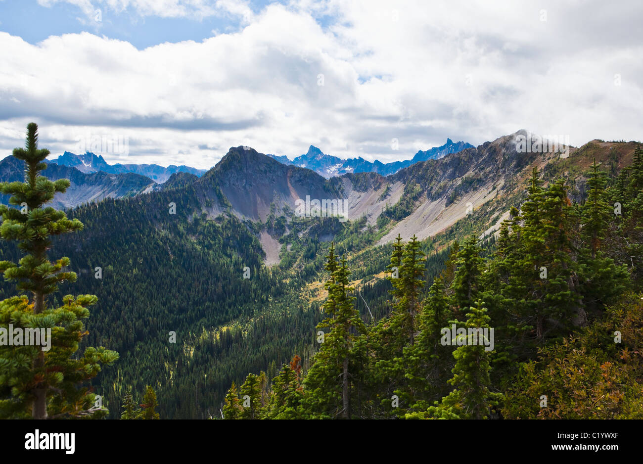 Mountains in the North Cascade mountains along the Pacific Crest Trail near Harts Pass, Washington, USA. Stock Photo