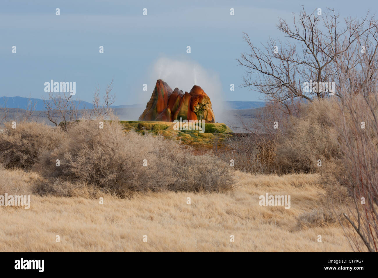 Fly Geyser is a geyser whose origin has been triggered accidently by men when they were drilling for geothermal resources. Near Gerlach, Nevada, USA. Stock Photo