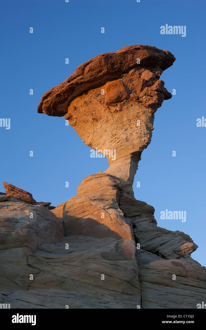 Balanced rocks defying the laws of gravity are aplenty on the Colorado Plateau. This one is near Church Well, Kane County, Utah, USA. Stock Photo