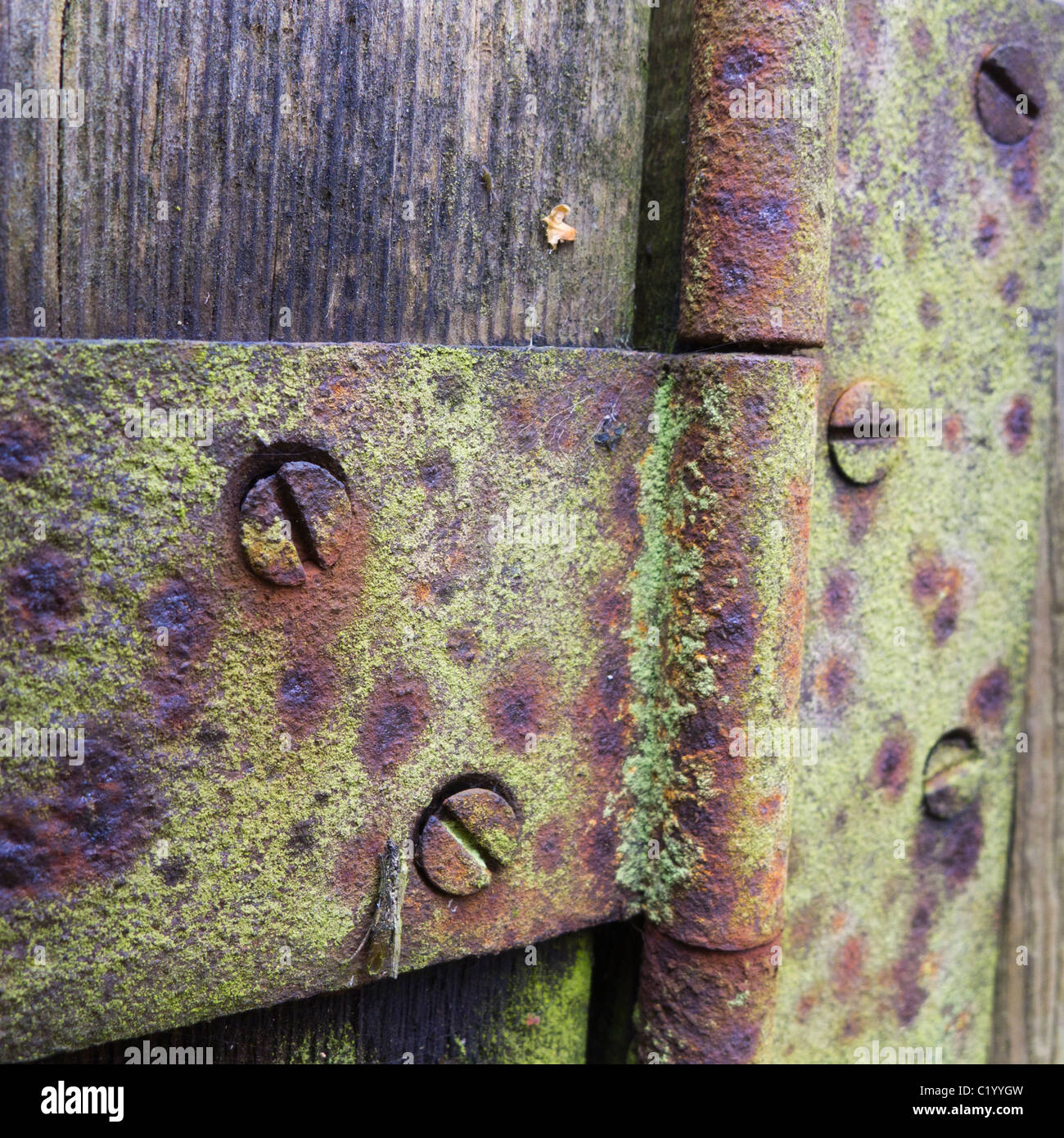 Wooden gate with old metal hinges hires stock photography and images
