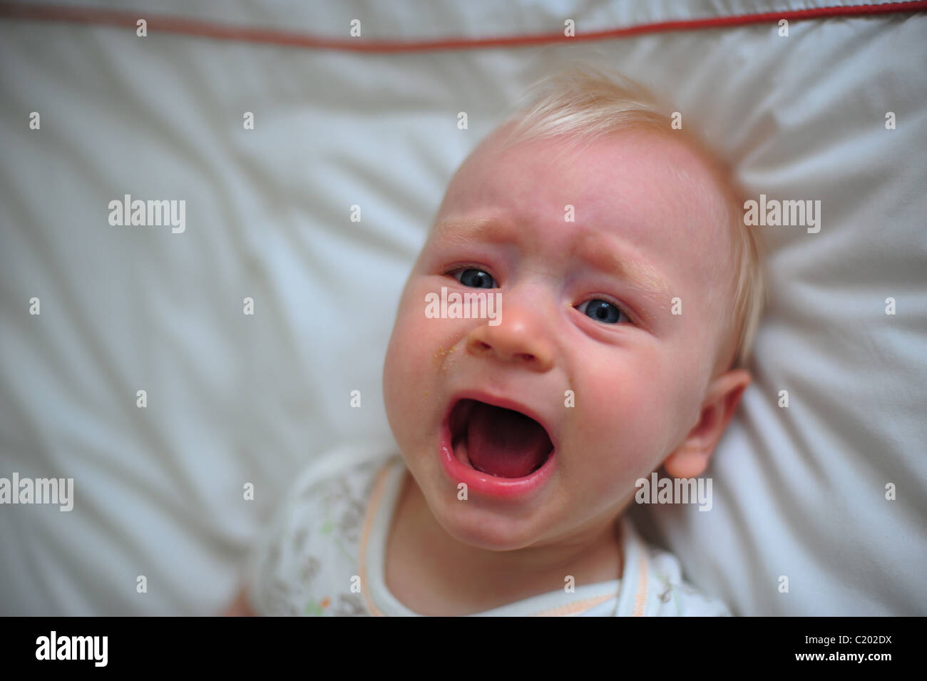 A one year old baby boy crying on a bed, screaming shouting ...