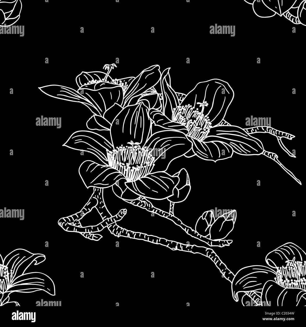 Butterfly hand drawing seamless Black and White Stock Photos & Images ...